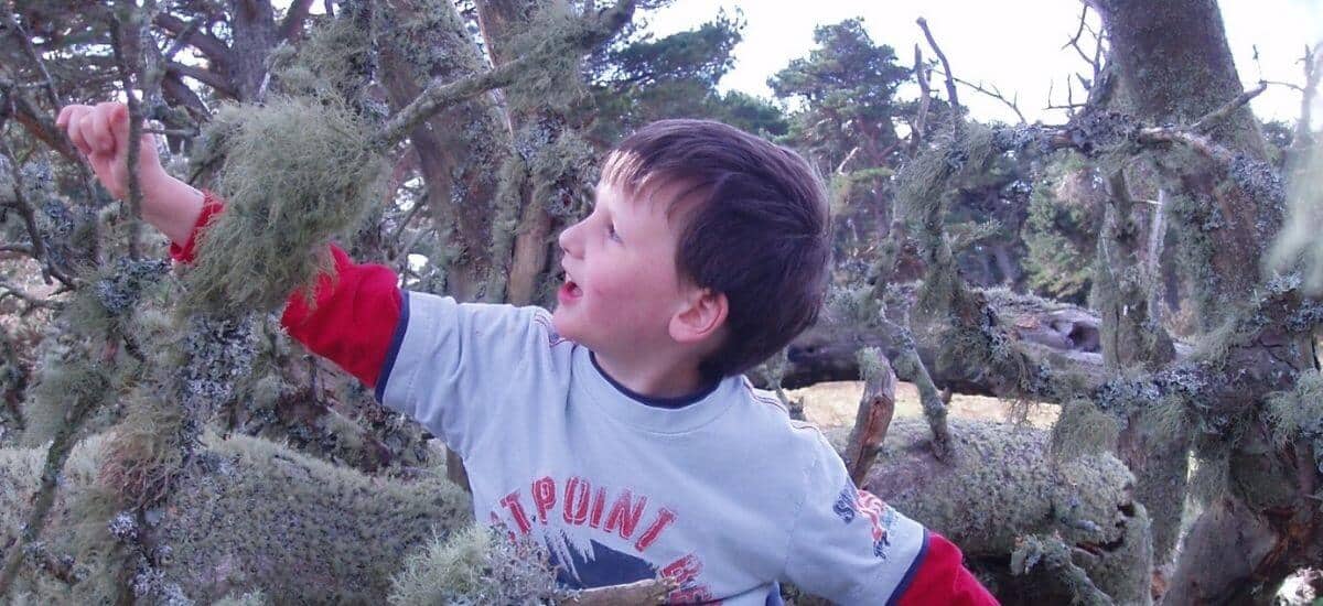 Blog Header Child in oak tree