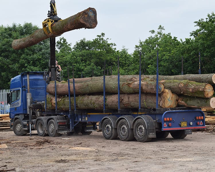 Oak log delivery