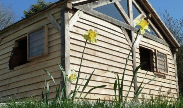 Oak profiles and fixings of featheredge cladding