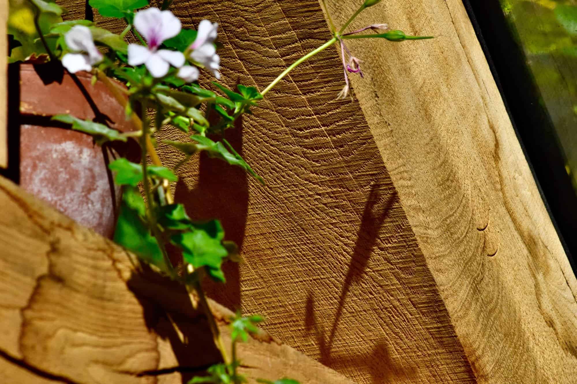Oak Frame Building